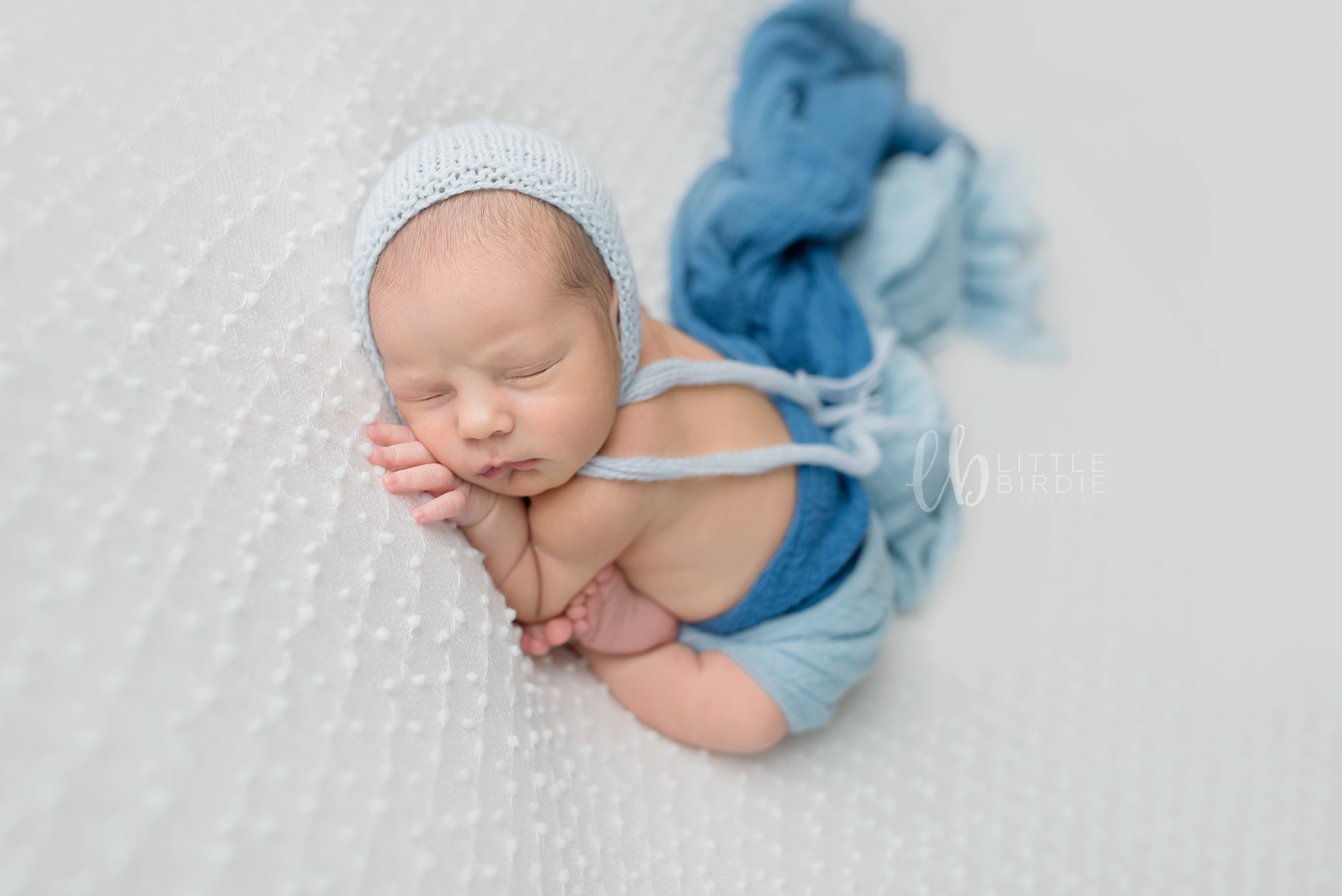 Baby Photography in Barrington IL
